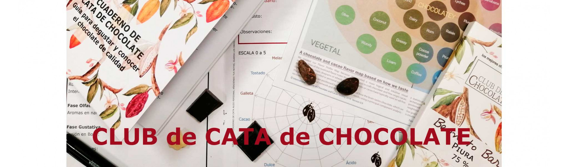 Catar chocolate y conocer el cacao