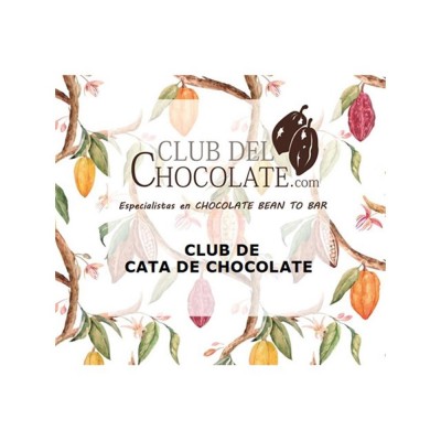 Chocolate con los cinco sentidos