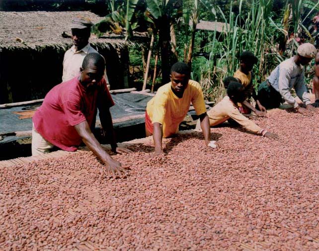 Chocolate procedente de cacao fino de aroma, con mas conciencia social