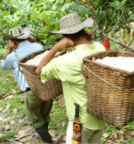 Destinos de Chocolate para Visitar