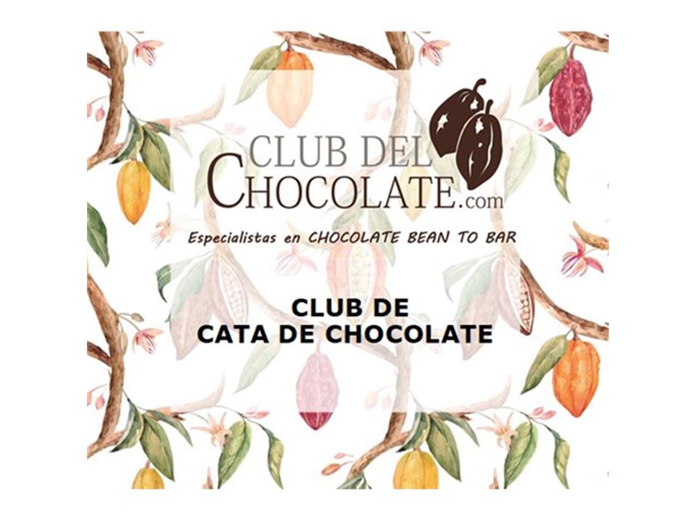 Como degustar chocolate