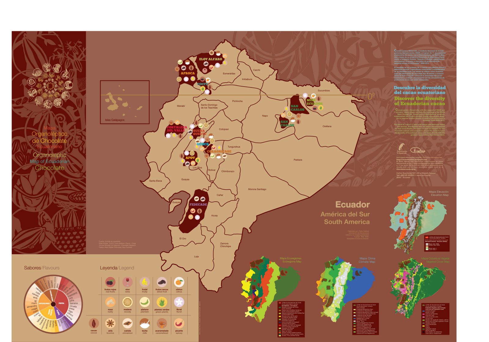 Mapa de sabores del cacao