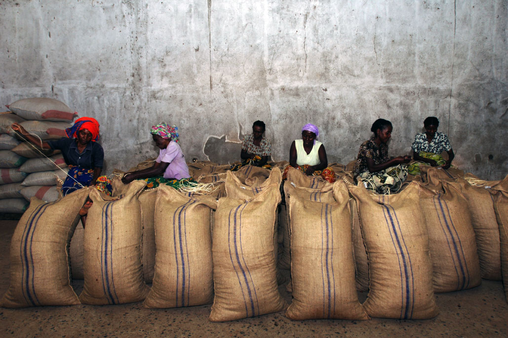 Los Productores de cacao, los Consumidores de chocolate.