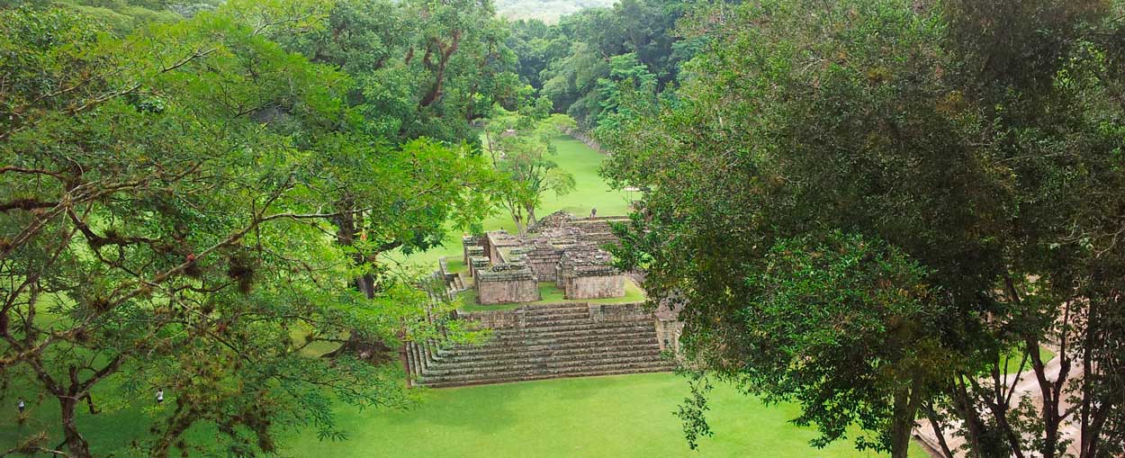 Cacao en la América Precolombina