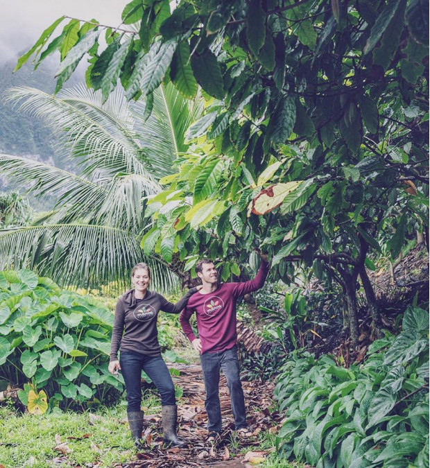 Manoa Hawaii Chocolate Maker